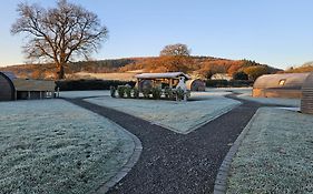 Eastridge Glamping